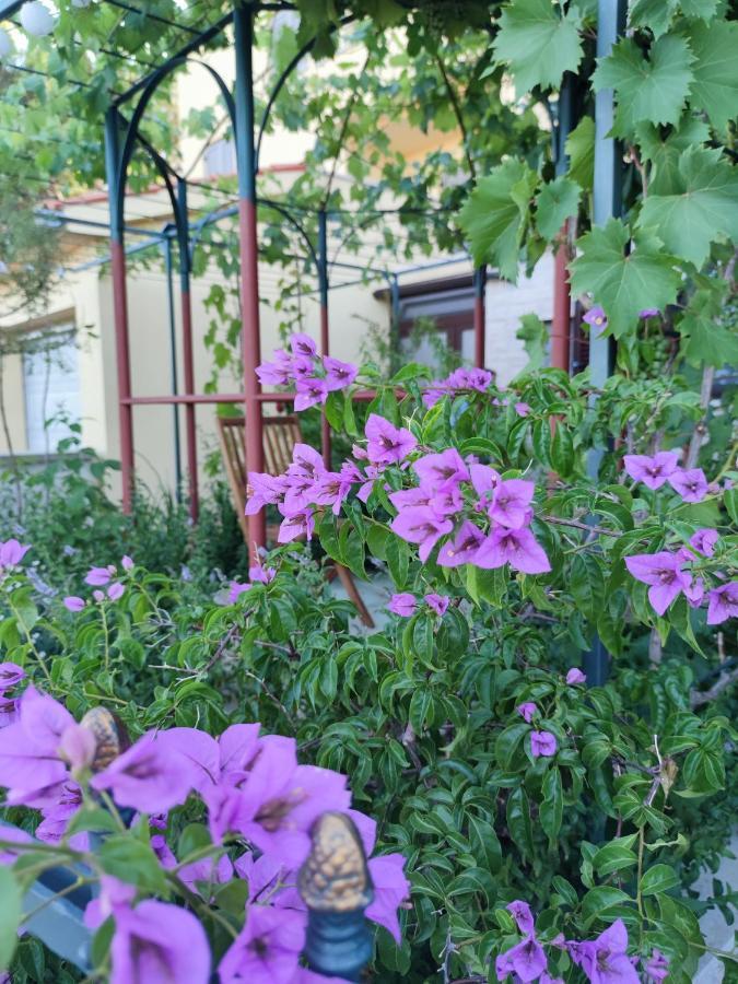 Summer Time Премантура Екстериор снимка